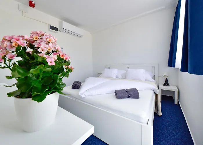 Zama Hotel Zamardi photo