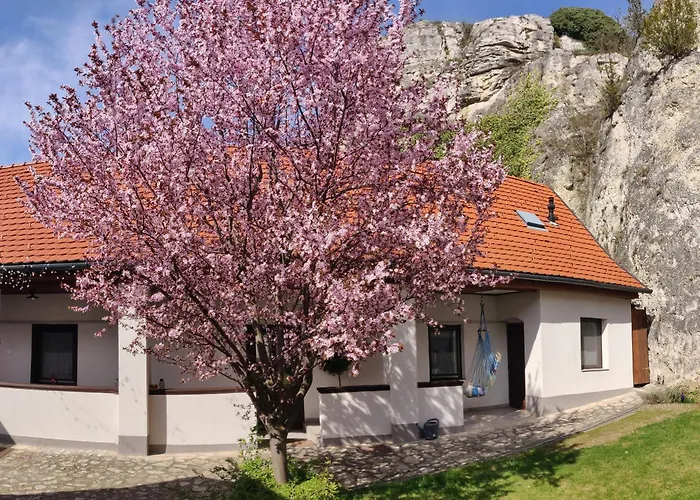 Varvoelgy Vendeghaz - Teljes Haz, Kizarolagos Hasznalattal Veszprem photo