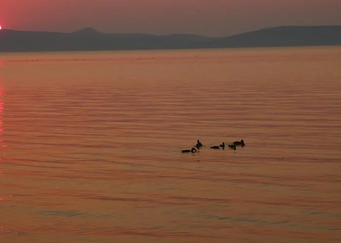 Aranyhid Hotel Balatonboglár φωτογραφία